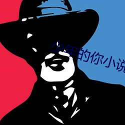 少年的你小说