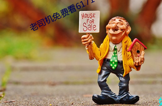 老司机免费看6171