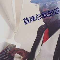 首席总裁的逃妻(qī)