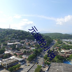 元媛(yuàn)的小说