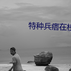特种兵痞在校园