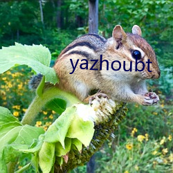 yazhoubt