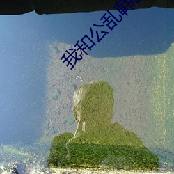 我(wǒ)和公乱韩国电影