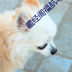 藏经阁福航导航 （黑地昏天）