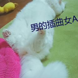 suncitygroup太阳集团--官方网站