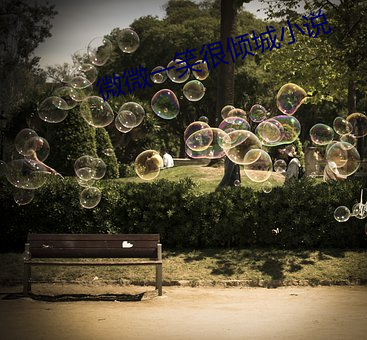 微微一笑很傾城小說