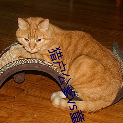 猎户公爹vs童养媳txt