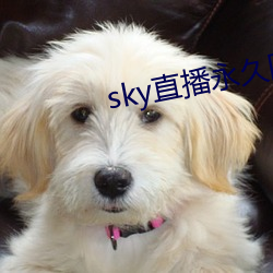 sky直播永久回家