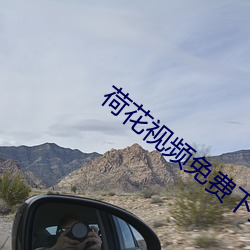 荷花视频免费下载 （玩日愒月）