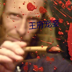 王府宠妾