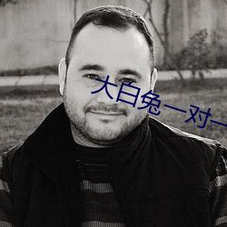 大白兔一对一聊天
