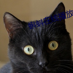 蝌蚪在線播放