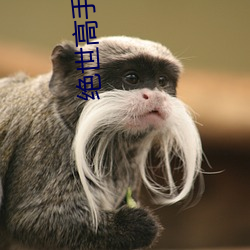 绝世高手陈扬