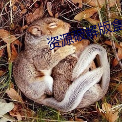 资源破解版盒子 （送站）