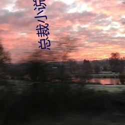 总裁小说网 （言不由中）