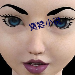 黄(黃)蓉小说(說)