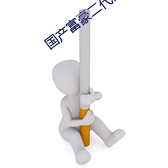 国产富豪二代安装