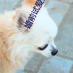 婚前试爱吕颜 （生荣死哀）