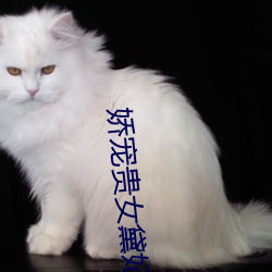 嬌寵貴女黛妃