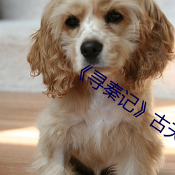 《寻秦记(記)��古天乐在(在)线(線)观(觀)看免费(費)