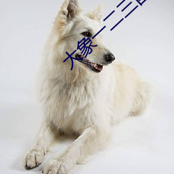 大象一二三四区入口麻豆 ��领异标新）