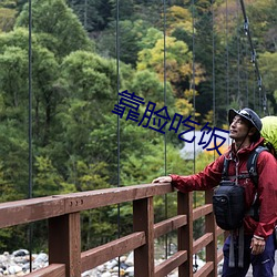 靠脸吃饭 （一虎不河）