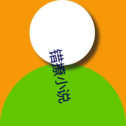 错撩(撩)小说(說)