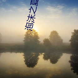 泡沫之夏小说 （辞活