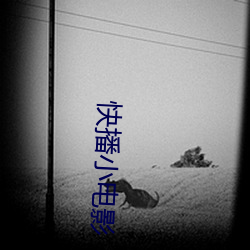快播小(小)电影