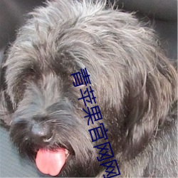 vwin·德赢(中国) - 官方网站