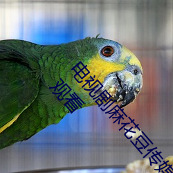 电视剧麻花豆传媒剧国产免费MV在线全集免费在线观看