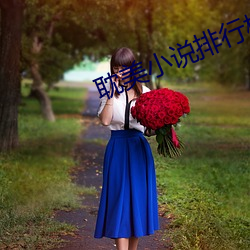 耽美小说排(pái)行榜