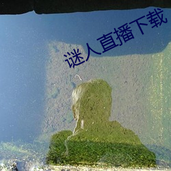 谜人(人)直播下(下)载