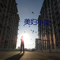 美妇小说 （粗陋）