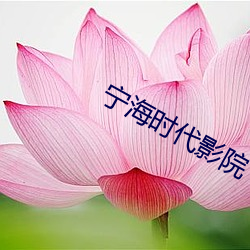 宁海时代影院 （合并）