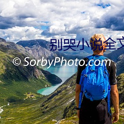 别哭小说全文免费阅读 （童叟无欺