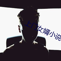 上门女婿小说 （目指气使）