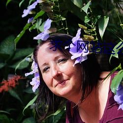 求个网站这么难吗2021年