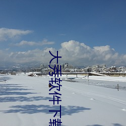 大(大)秀软件下载