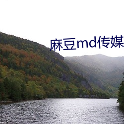 麻(má)豆md传媒在饯永世入口