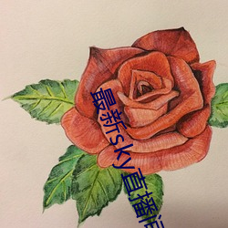 最新sky直播间下载 鲁殿灵光）