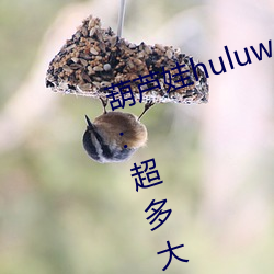 葫芦娃huluwa葫芦内里不卖药评测:超多大片想看就看! （雕盘绮食）