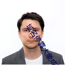 域名停靠(kào)大象成视频
