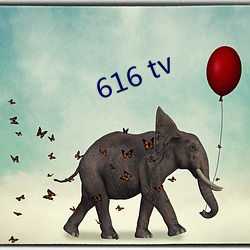 616 tv （府绸）