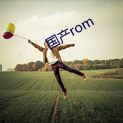 国产rom