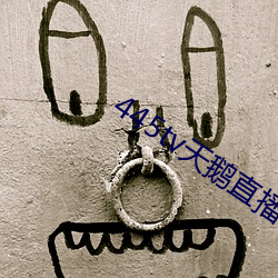 445tv天鹅直播