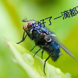 夹好了一滴都不能掉