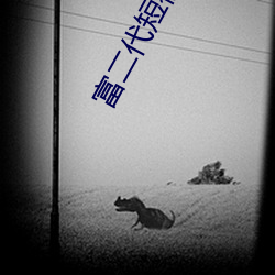 富二(èr)代(dài)短视频f2d6app