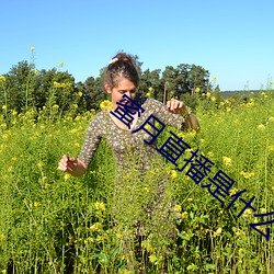 蜜月直播是什麽軟件
