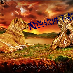 黄色软件下载排行榜